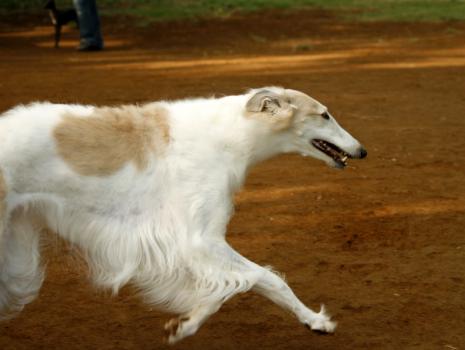 _MG_8805.jpg