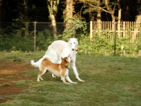 _MG_9077.jpg
