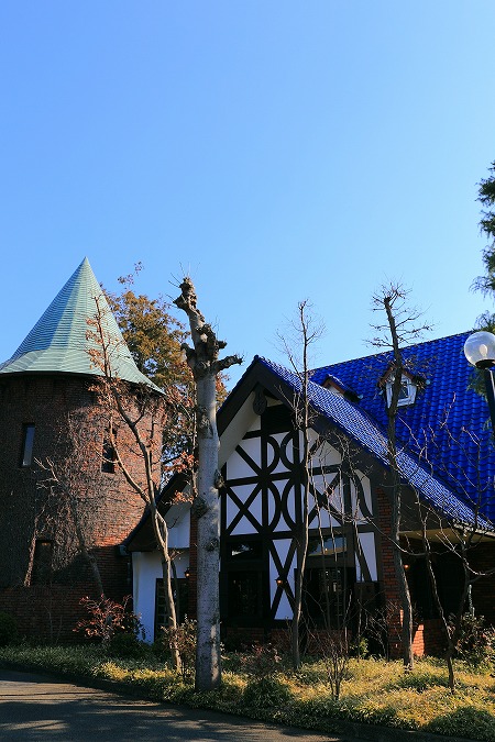 4540.jpg