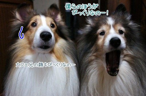 Sony NEX-5