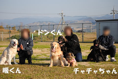 ADSC_3619.jpg