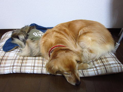 AIMG_0216.jpg