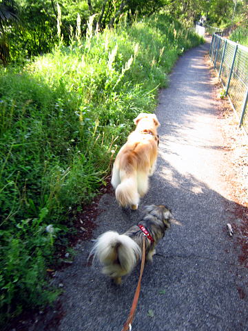 AIMG_0424.jpg