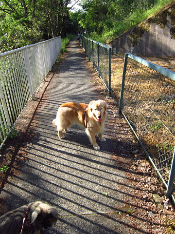 AIMG_0428.jpg