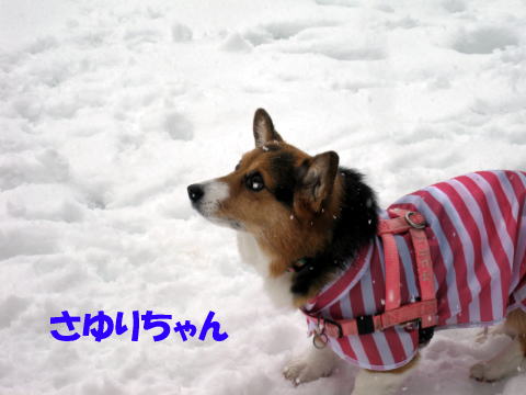 IMG_6764.jpg