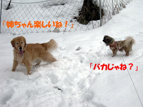 IMG_6768.jpg