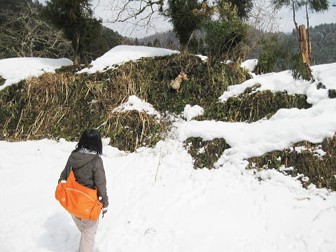 IMG_6776.jpg