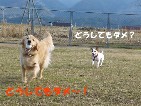 P1000147.jpg