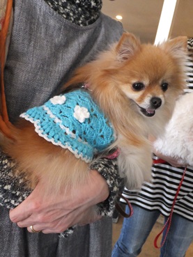 myuchan140209.jpg