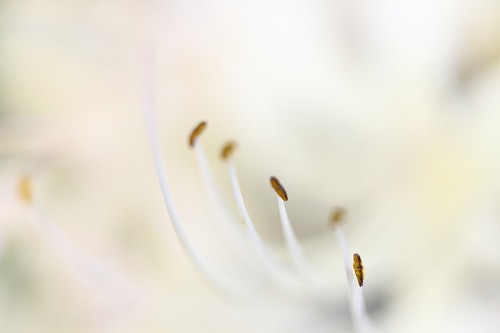 190021.jpg
