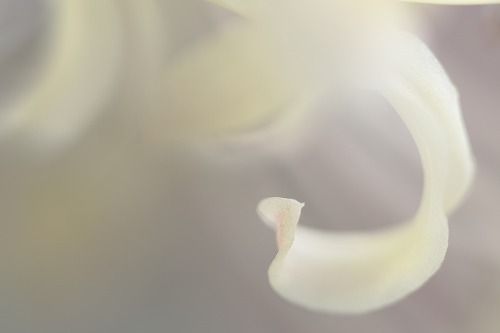 190038.jpg
