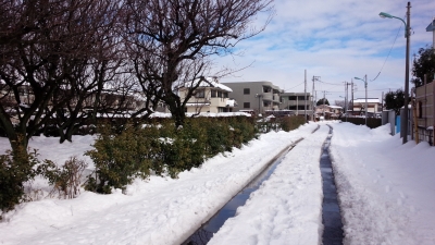 DSC_0169.jpg