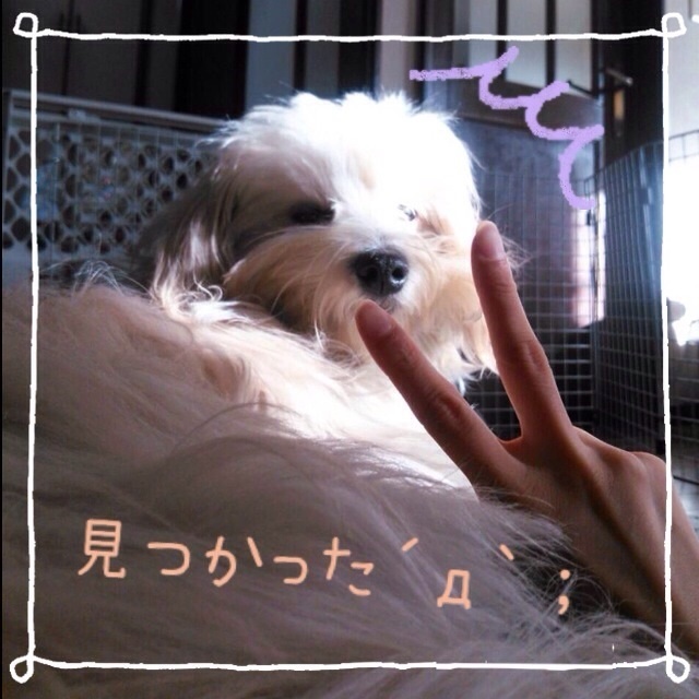 20131201193333876.jpg