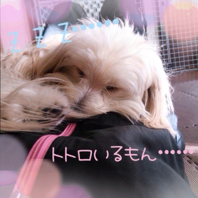 201312011933377fb.jpg