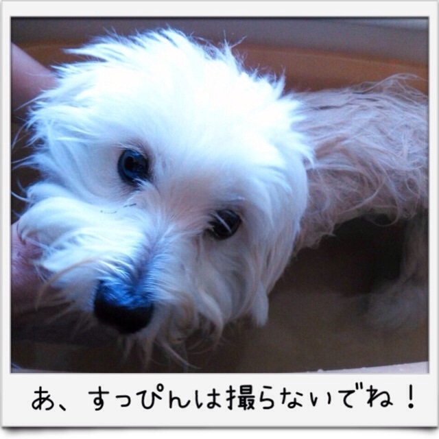 20131201193339881.jpg