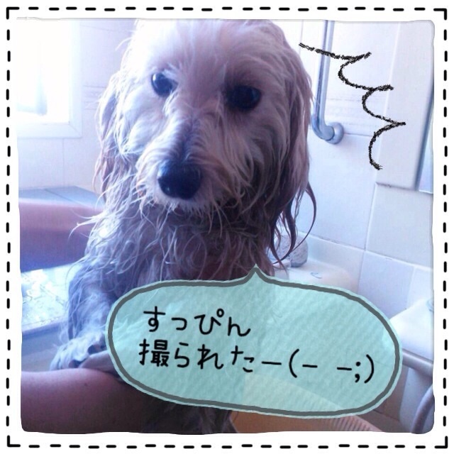 20131201193341460.jpg