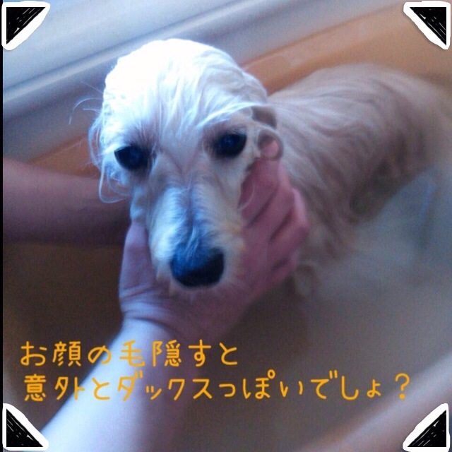 20131201193342a62.jpg
