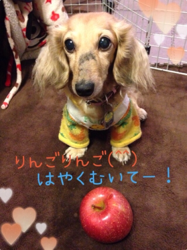 201312011934063fd.jpg