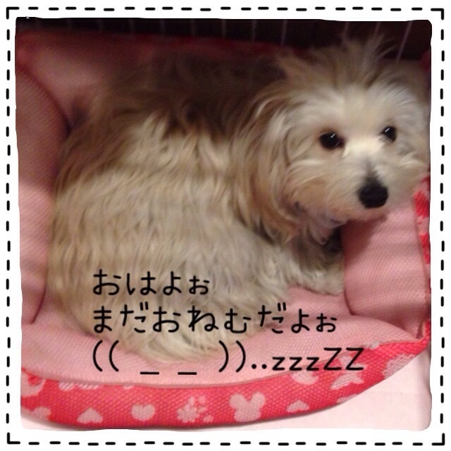 20131204203638367.jpg