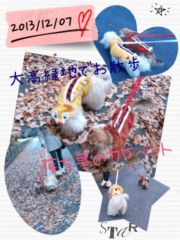 20131207200840398.jpg