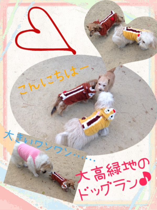20131207200908237.jpg