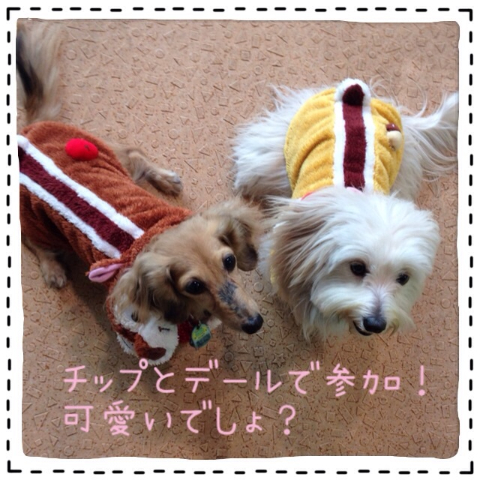 2013120720095524b.jpg
