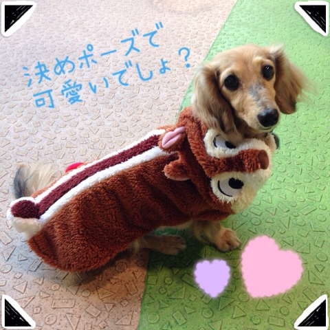 201312072011169a4.jpg