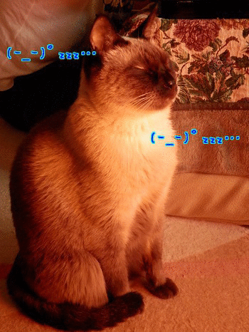 1386472271horC7u1a9KiK45x1386472270.gif