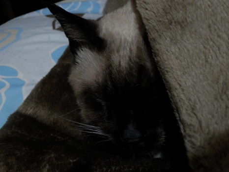 そっと2