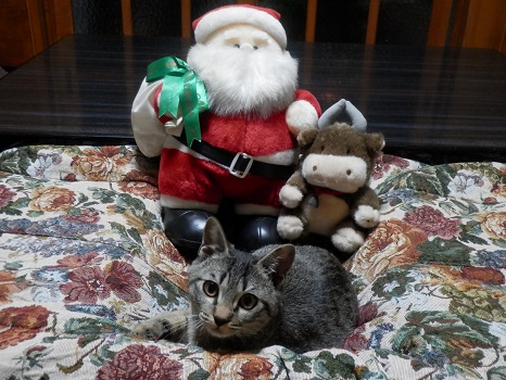 クリスマス