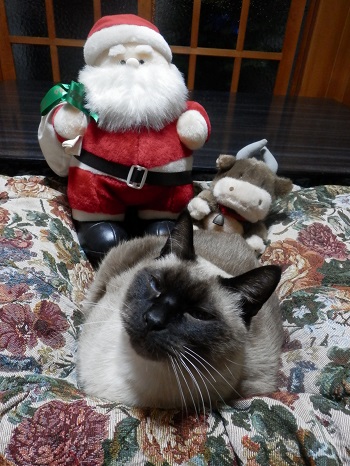 クリスマス2