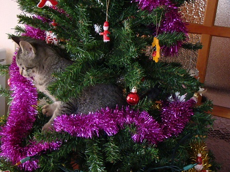 クリスマス4
