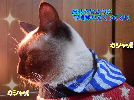 どうかな?5