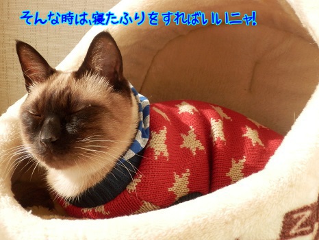 どうかな?8