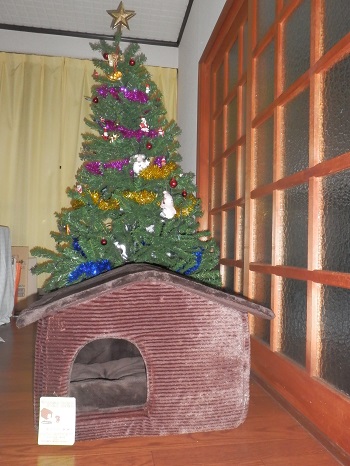 クリスマスプレゼント3