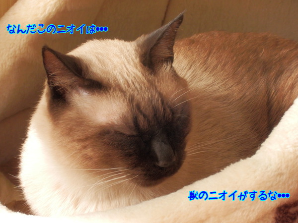 pfuvCTmdfwFB70D1386660633_1386660798.jpg