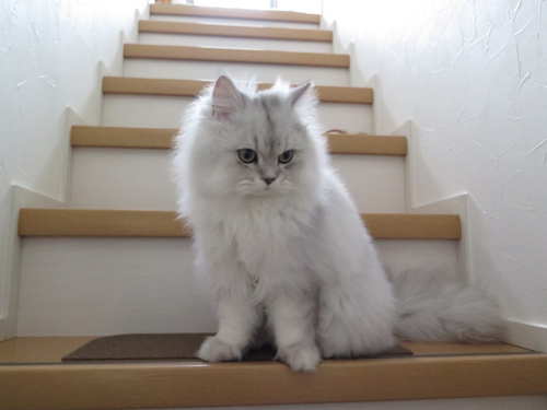 2014-0920-00.jpg