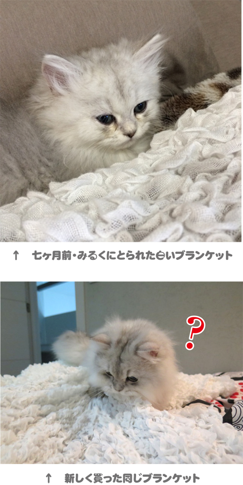 2014-0920-1.jpg