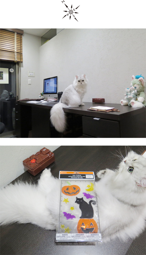 2014-1004-2.jpg