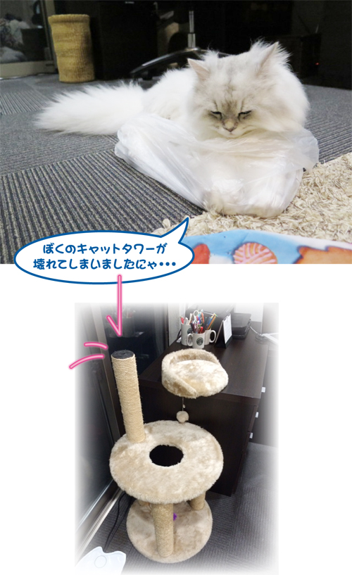 2014-1005-1.jpg