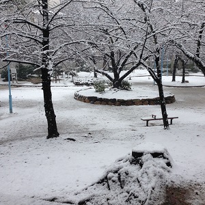 201402-10.jpg