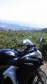 110919_103709_ed.jpg