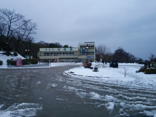 20140209 (6)