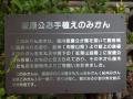 IMGP1350.jpg