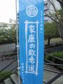 IMGP1354.jpg