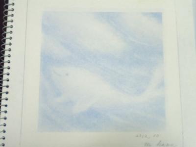 P1148445-01.jpg