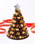 Sapin-de-Noel-Henri-Le-Roux_visuel_galerie2.jpg