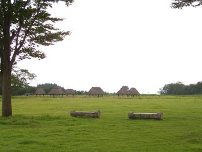 CIMG0423.jpg