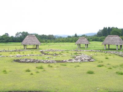 CIMG0435.jpg