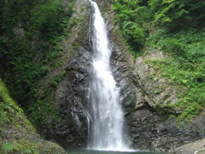 CIMG0552.jpg